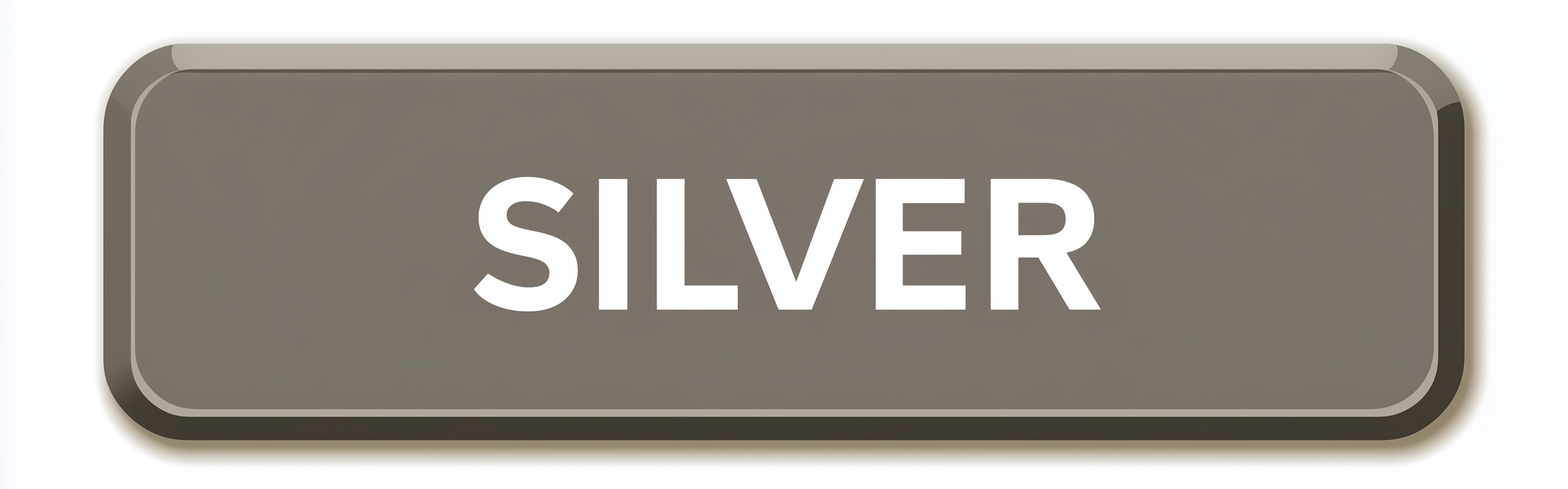 Silver Button2